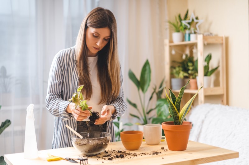 Hortaliças e legumes | Mulher plantando em apartamento | Casa e Decoração | Blog da Tenda