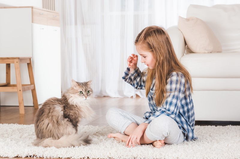 5 dicas importantes para ter um gato feliz no apartamento | Criança brincando com um gato na sala de estar | Viver em Condomínio | Blog da Tenda 