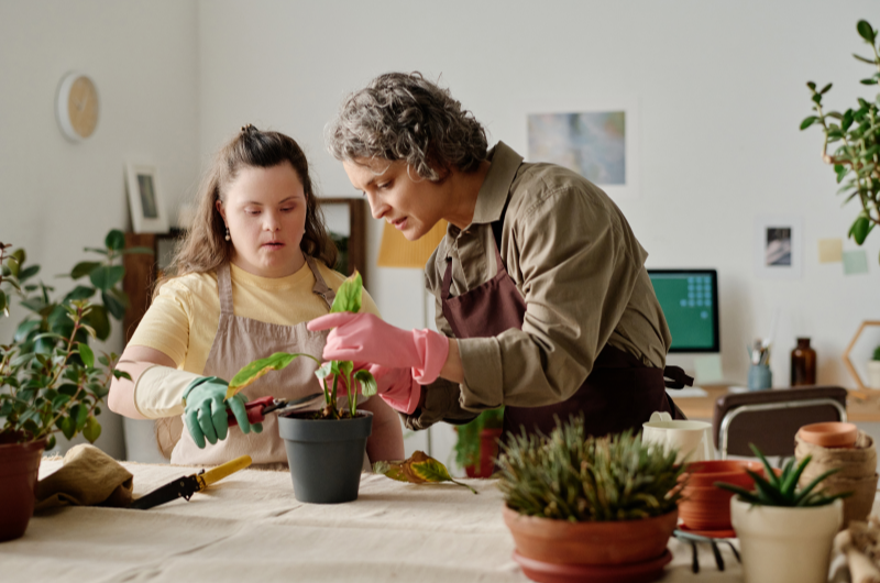 Cuidados e manutenção do jardim vertical | Mulher ajudando uma jovem a cuidar de uma planta em um ambiente interno | Casa e Decoração | Blog da Tenda